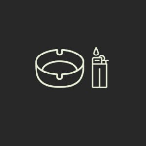 Ceniceros y Encendedores