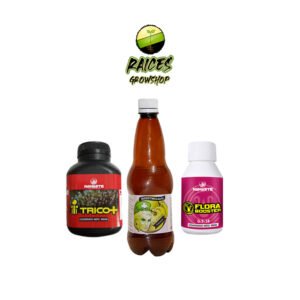 COMBO FLORACIÓN CHICO