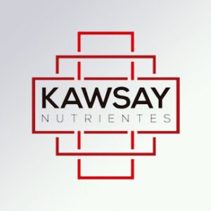 Kawsay