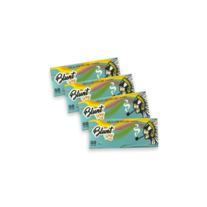 SEDAS CELULOSA BLUNT REY - 110MM